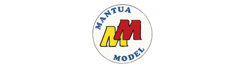 Mantua model
