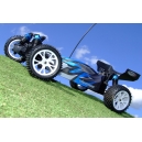 FTX5528 FTX VANTAGE 1/10 BRUSHED BUGGY 4WD RTR 2.4GHZ/WATERPROOF
